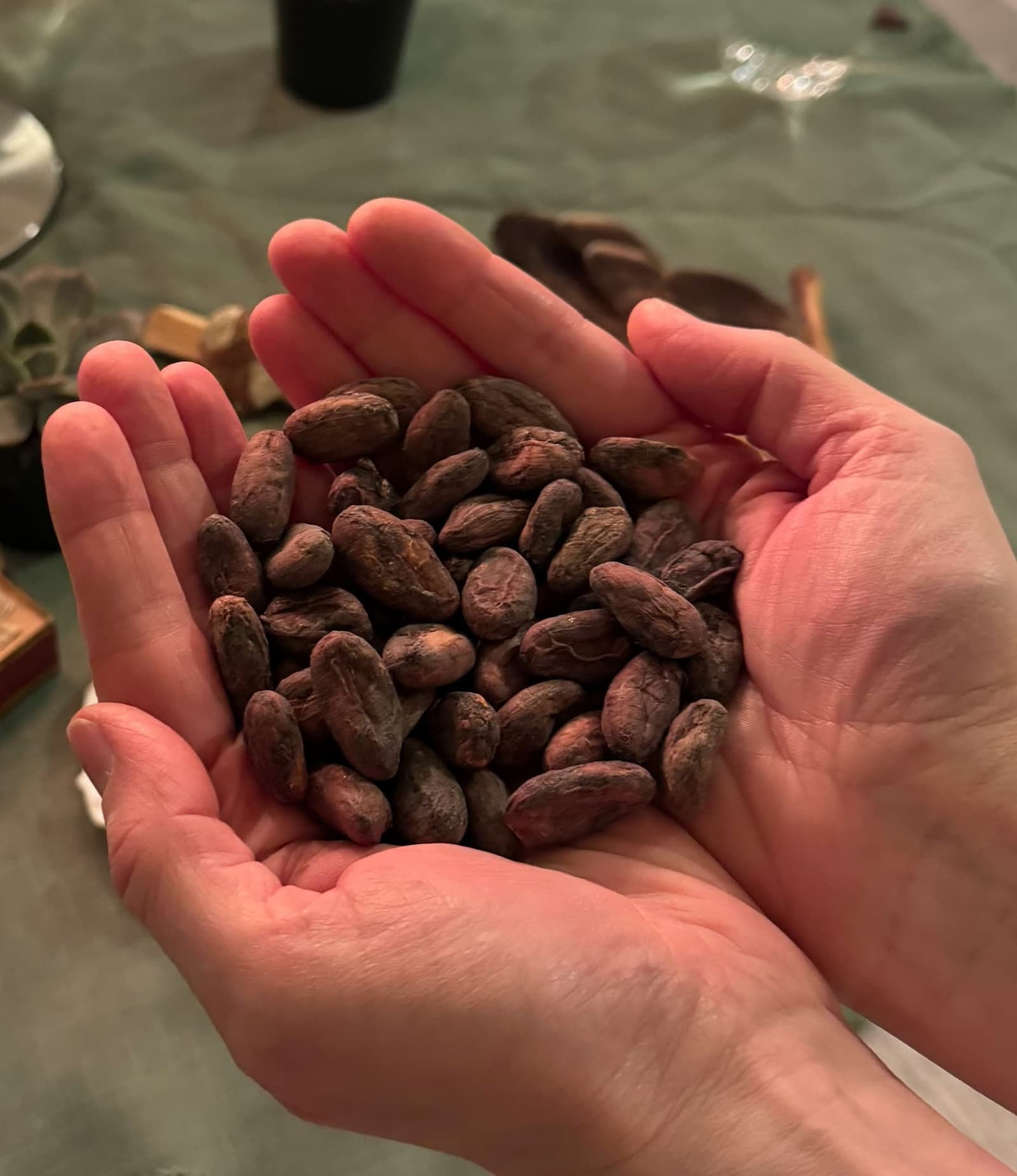 Close-up of a dandelion seed head with delicate white fibers against a blurred green background.