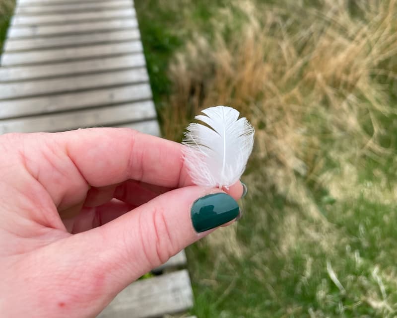 Holding a feather in the hand